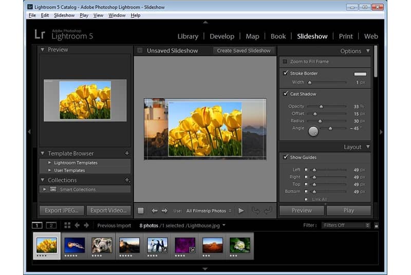 Adobe Photoshop Lightroom- creative image organization and image manipulation software
