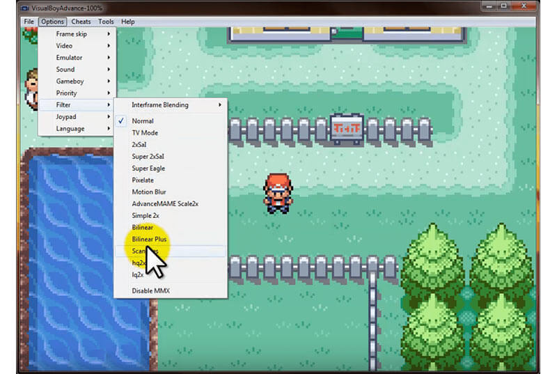 Visual Boy Advance- an emulator that allows you to play all the classic GameBoy