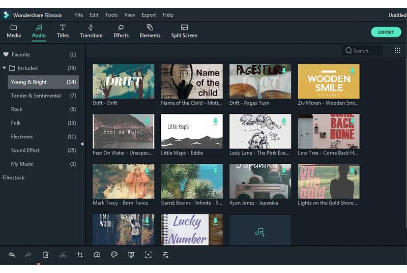 Wondershare Filmora Pro- professional video editing software
