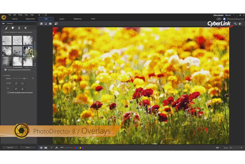 photodirector download for windows